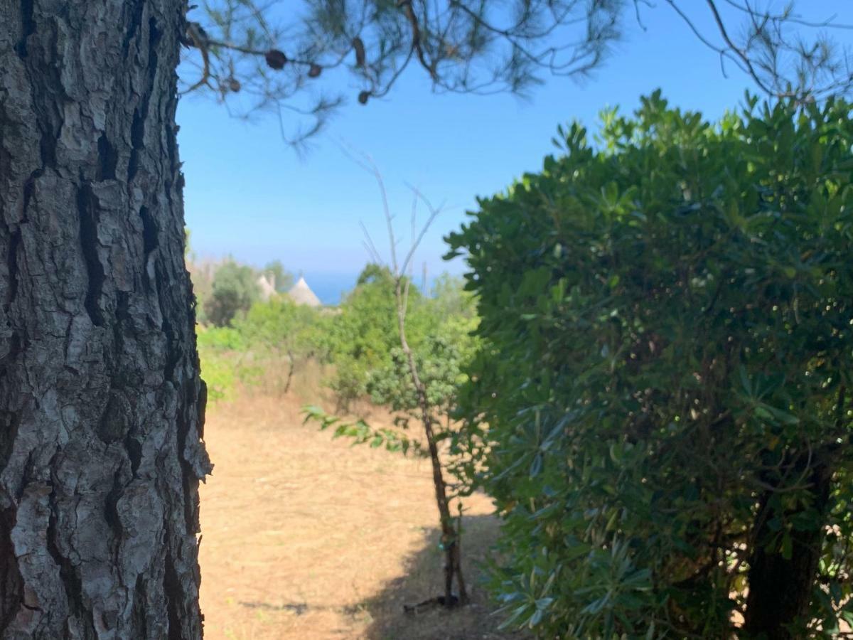 Holiday home Trullo Pasquale Selva Di Fasano