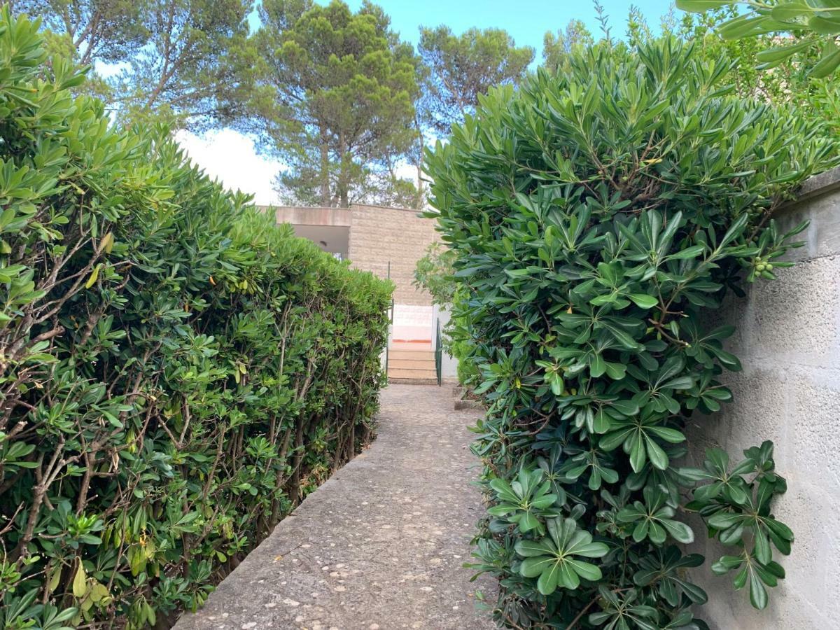 Trullo Pasquale * Selva Di Fasano